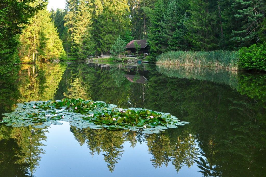 Klieber - Urlaub Am Biobauernhof Villa Millstatt Eksteriør bilde